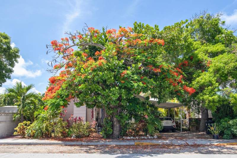 3 bedroom Single Family Residence at 3712 Duck Avenue, Key West Fwdn Sub (4.0), Key West — photo 3