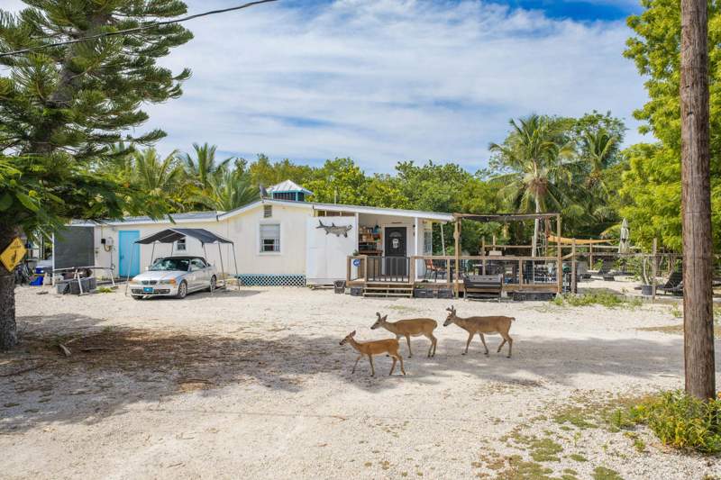 1 bedroom Single Family Residence at 2231 Middle Torch Road, Misc Middle Torch Key (28.0), Middle Torch Key — photo 3