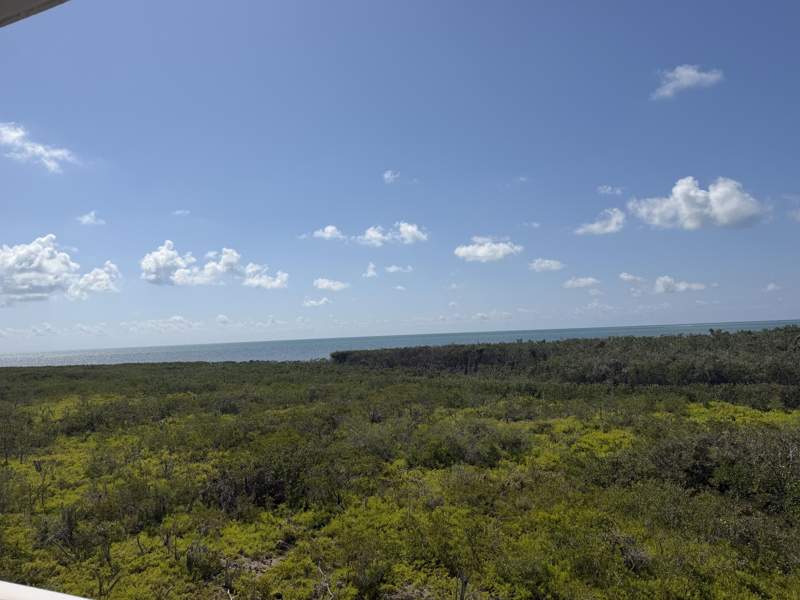 1 bedroom Condominium at 500 Burton Drive #2313, Ocean Pointe (92.5), Key Largo — photo 3