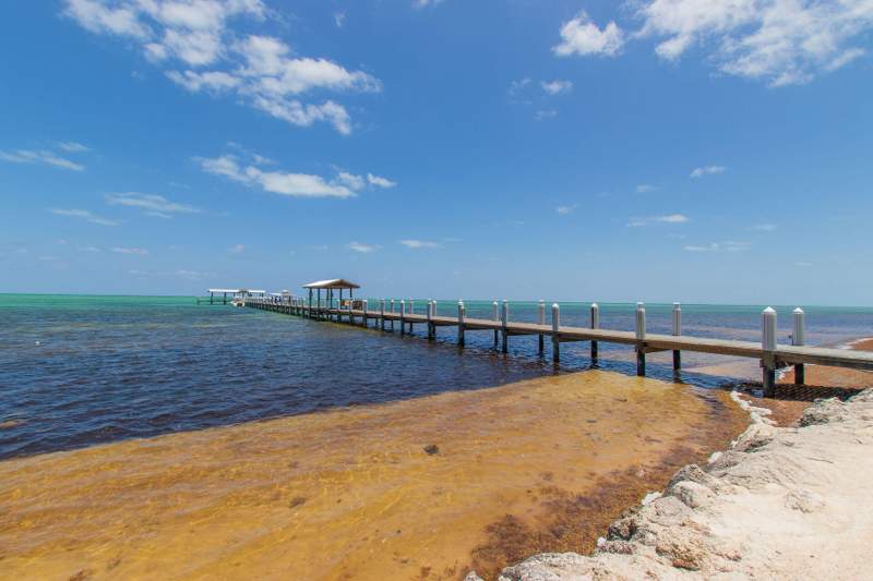 1 bedroom Condotel at 81801 Overseas Highway #715, Strattons (82.5), Upper Matecumbe Key Islamorada — photo 4