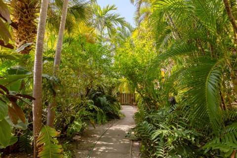 816 South Street #4, Key West FL - photo 18 of 24