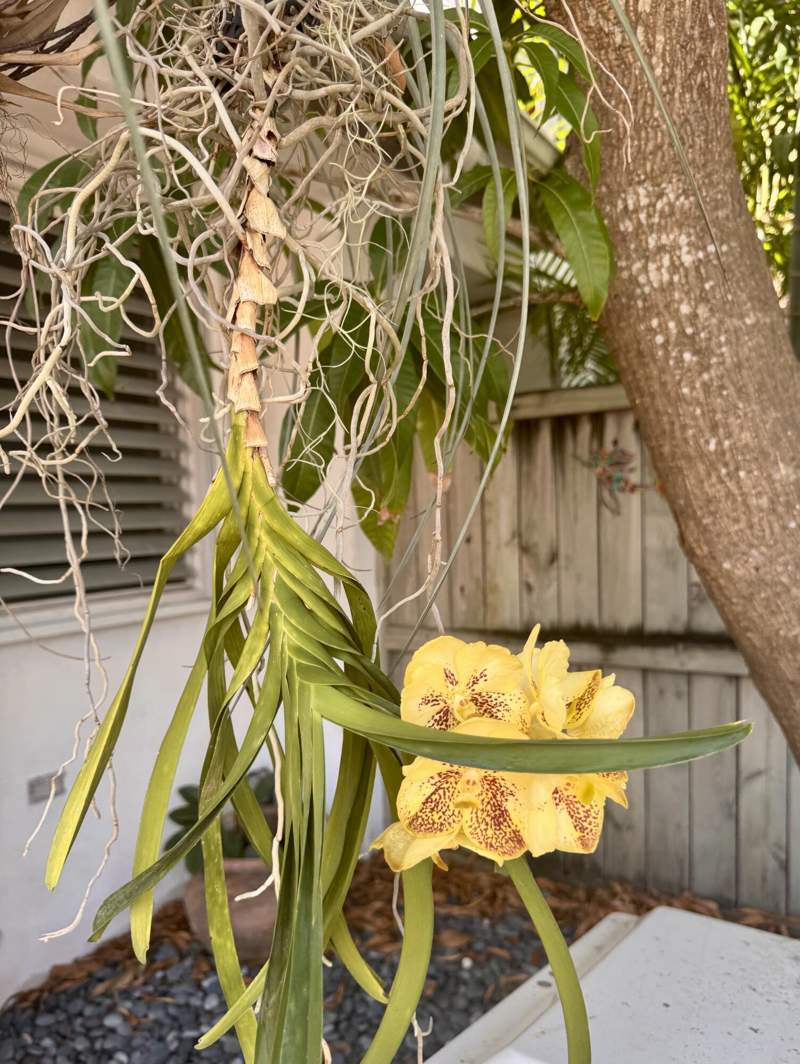 2 bedroom Townhouse at 2012 Roosevelt Drive, Sunshine Sub Plat 3 (3.0), Key West — photo 4