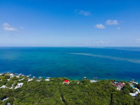 350 Buttonwood Bight Lane, Plantation Key FL - photo 9 of 118