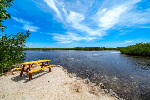 101551 Overseas Highway ## 165, Key Largo FL - photo 24 of 32