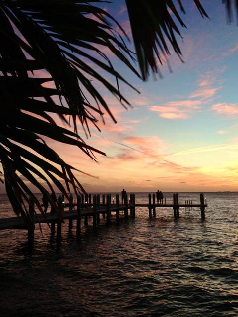 79901 Overseas Highway #220, Upper Matecumbe Key Islamorada FL - photo 17 of 17