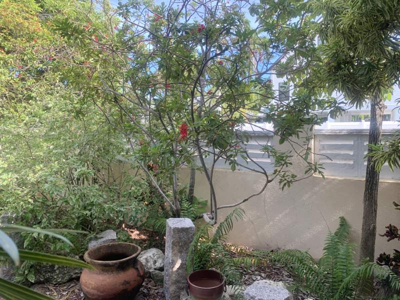 3 bedroom Single Family Residence at 1703 South Street, Monroe Investement Co Sub (2.0), Key West — photo 4