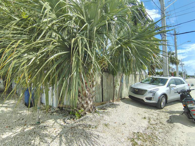 3 bedroom Single Family Residence at 5435 5th Avenue, Robyn Sub (5.0), Key West — photo 3