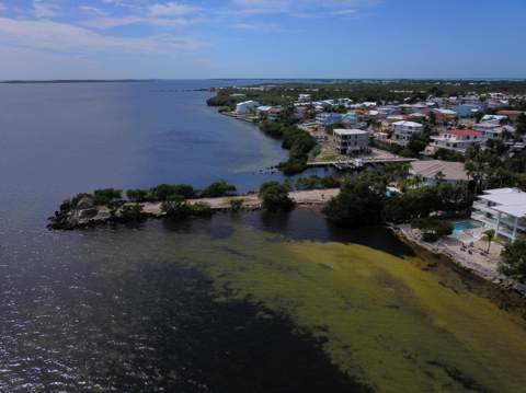 80 Ocean Front Drive, Key Largo FL - photo 17 of 73