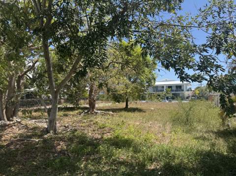 29558 Ranger Avenue, Big Pine Key FL - photo 9 of 19
