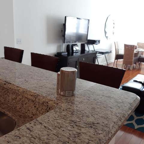 520 SE 5th Avenue #3704, Fort Lauderdale FL - photo 10 of 34