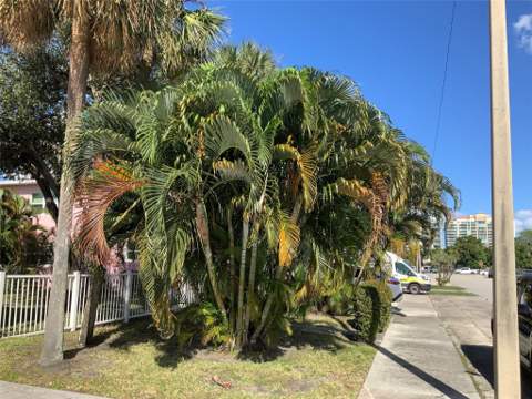 700 Bayshore Drive #13, Fort Lauderdale FL - photo 22 of 25