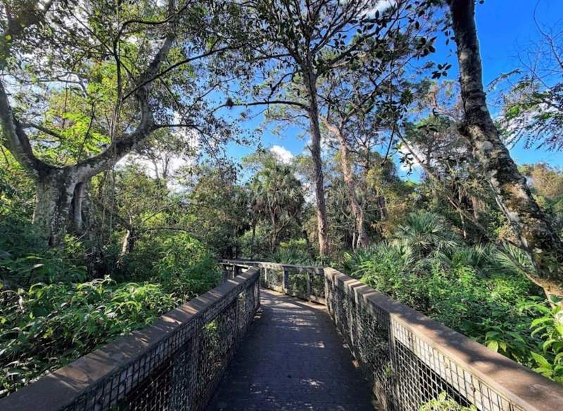 2 bedroom Condominium at 8821 NW 38th Drive #205a, Jefferson, Coral Springs — photo 3