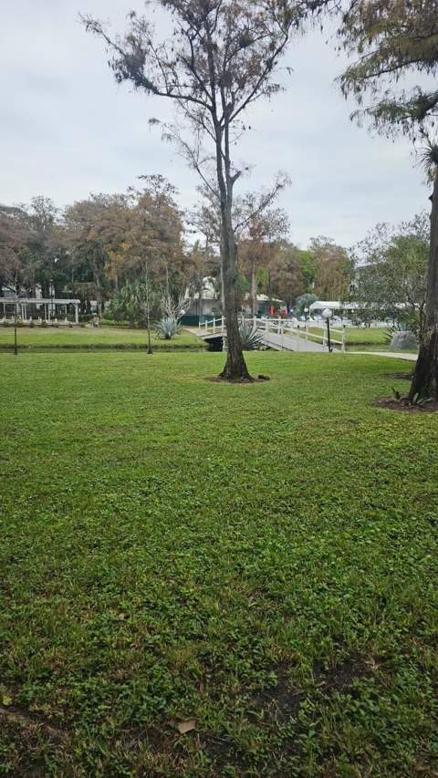 4851 NW 26th Court #342, Lauderdale Lakes FL - photo 7 of 73