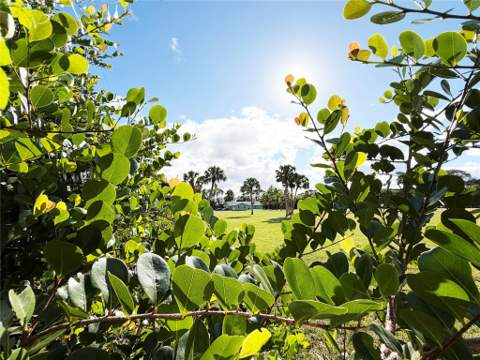 4656 Lillian Avenue, Palm Beach Gardens FL - photo 13 of 28