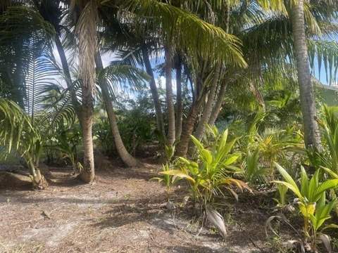 4656 Lillian Avenue, Palm Beach Gardens FL - photo 24 of 28