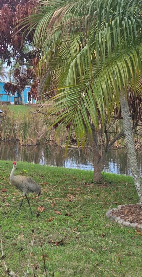 5650 Hemingway Court #9, Fort Pierce FL - photo 7 of 20