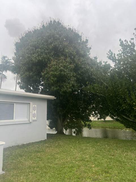 4680 NW 39th Street, Lauderdale Lakes FL - photo 12 of 48