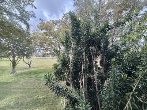 7320 Lake Cir Drive #204, Margate FL - photo 23 of 25