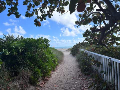 2000 S Ocean Drive #810, Fort Lauderdale FL - photo 21 of 60