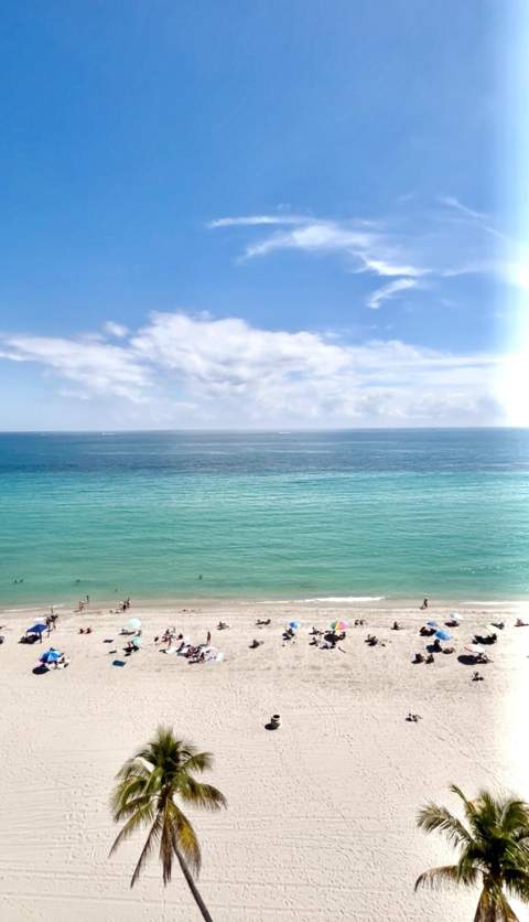 400 N Surf Road #1105, Hollywood FL - photo 14 of 15