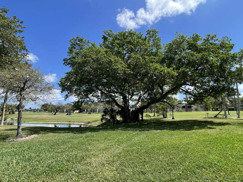 1 bedroom Condominium at 7460 NW 18th Street #104, Palm Springs 3 Condo, Margate — photo 3
