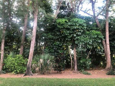1262 Sugar Sands Boulevard, West Palm Beach FL - photo 16 of 18