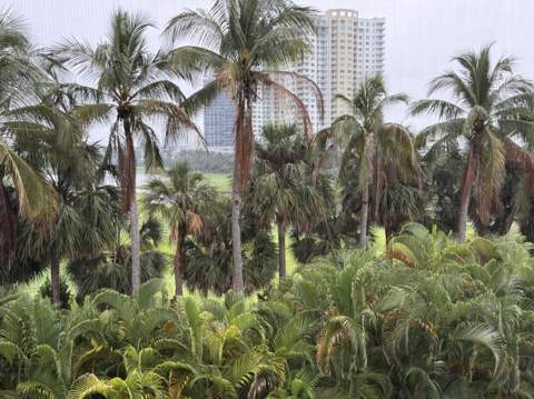 300 NE 14th Avenue #411, Hallandale Beach FL - photo 14 of 45