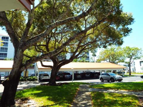4128 W Palm Aire Drive #281b, Pompano Beach FL - photo 18 of 27