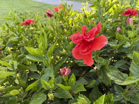 81 Camden Drive #D, West Palm Beach FL - photo 7 of 19
