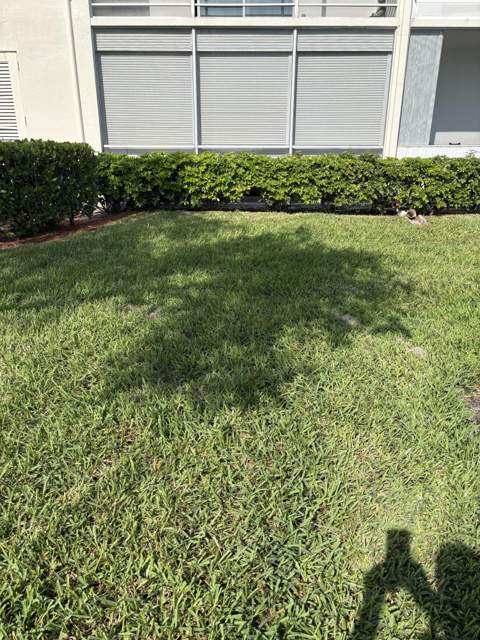 91 Preston C #C, Boca Raton FL - photo 6 of 24