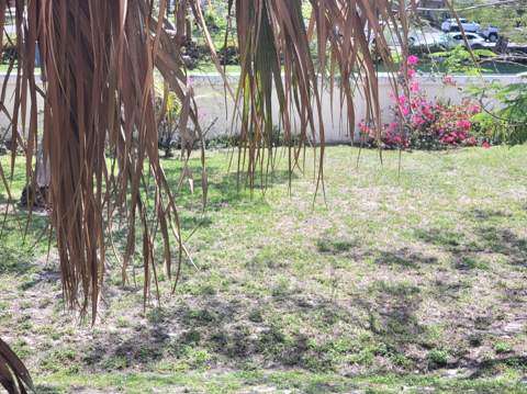 8140 SW 24th Street #Unit 215, North Lauderdale FL - photo 12 of 21