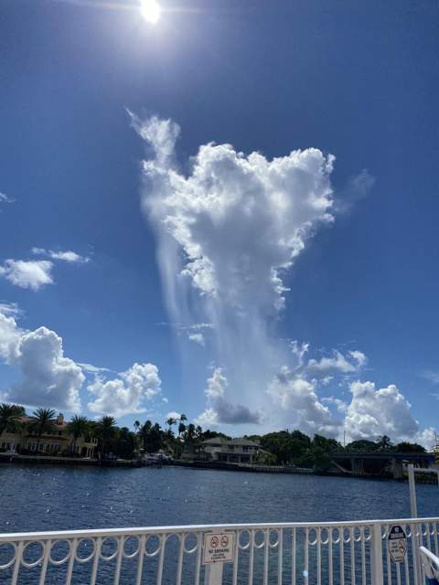 632 Snug Harbor Drive #D2, Boynton Beach FL - photo 19 of 39