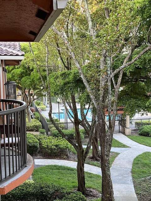 4195 N Haverhill Road #324, West Palm Beach FL - photo 13 of 30
