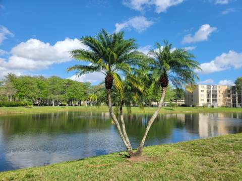 7900 NW 50th Street ##304, Lauderhill FL - photo 12 of 20