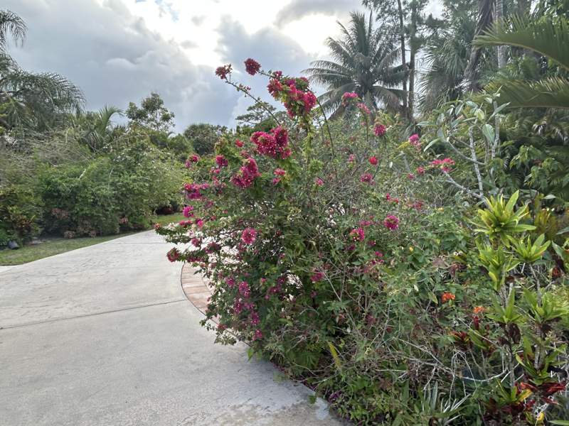 3 bedroom Single Family Residence at 6220 Kelty Way, Sherbrooke, Lake Worth — photo 3