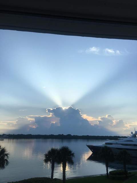 124 Lakeshore Drive #428, North Palm Beach FL - photo 6 of 25
