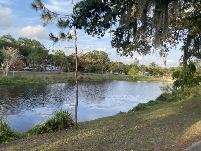 5 bedroom Single Family Residence at 319 N 11th Street, M E Goldsmith'S Subdivision, Fort Pierce — photo 5
