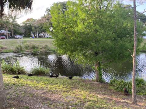 319 N 11th Street, Fort Pierce FL - photo 6 of 14