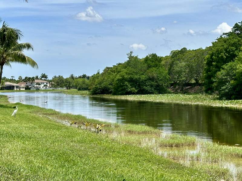 4 bedroom Single Family Residence at 386 Carrington Drive, Sector 4 North, Weston — photo 5