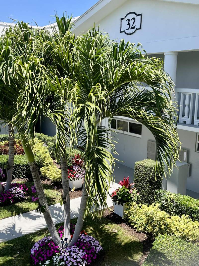 1 bedroom Condominium at 32 Colonial Club Drive #203, Colonial Club Condo Sec 1, Boynton Beach — photo 5
