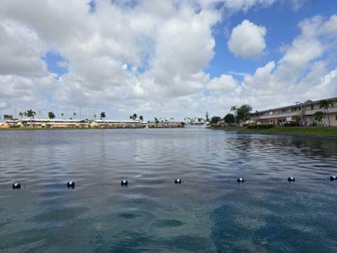 1000 SW 10th Avenue #19p, Hallandale Beach FL - photo 15 of 18