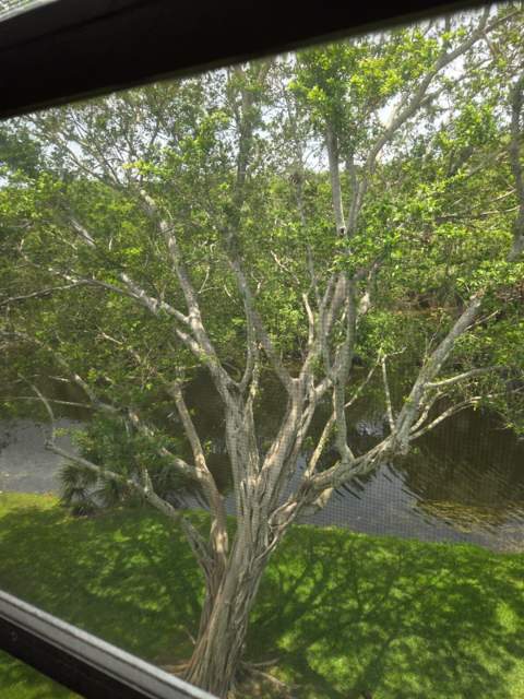 4023 Newport H, Deerfield Beach FL - photo 13 of 26