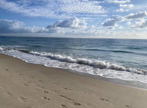 1480 S Ocean Boulevard #111, Lauderdale-By-The-Sea FL - photo 15 of 22