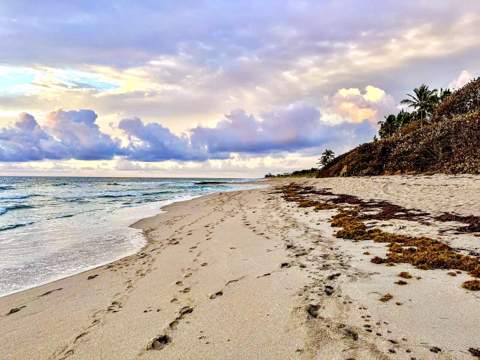 4501 N Ocean Boulevard #Th-04, Boca Raton FL - photo 11 of 87
