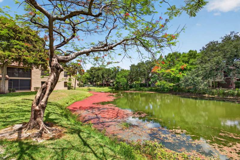 2 bedroom Condominium at 3713 Cocoplum Circle #3545, Karanda Village Iii-A Condo, Coconut Creek — photo 4