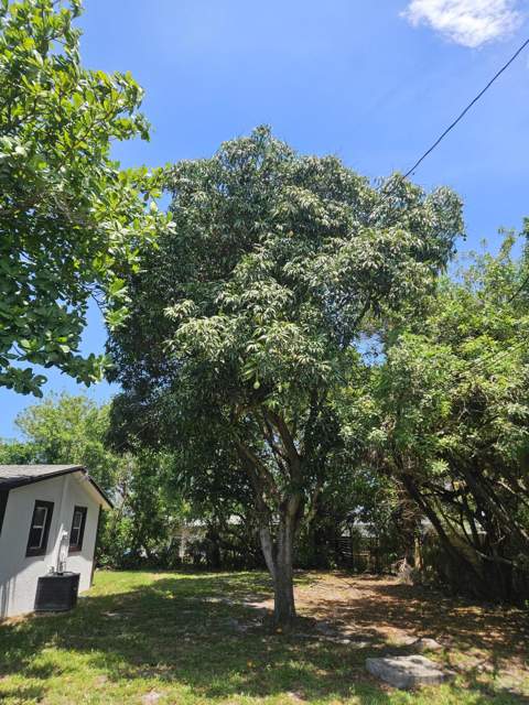 1605 W 10th Street, Riviera Beach FL - photo 22 of 53