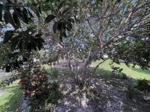 49 Cambridge B, West Palm Beach FL - photo 14 of 16