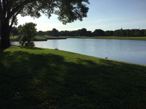 2240 SW 92nd Terrace #2402, Davie FL - photo 7 of 37