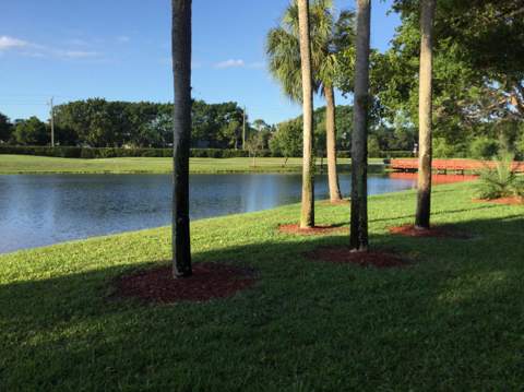 2240 SW 92nd Terrace #2402, Davie FL - photo 8 of 37