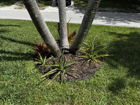 4081 4th Court, Lantana FL - photo 12 of 19